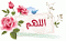 salam08