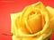 bachir39