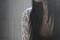 mirhane