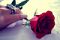 meriem07