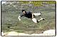 parkour