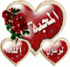 ������ ������� samadi08