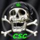 ������ ������� adelcsc08