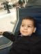 ������ ������� omar amine