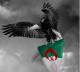 ������ ������� zina_mostaganem