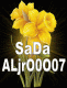   SaDa-ALjrO0O07